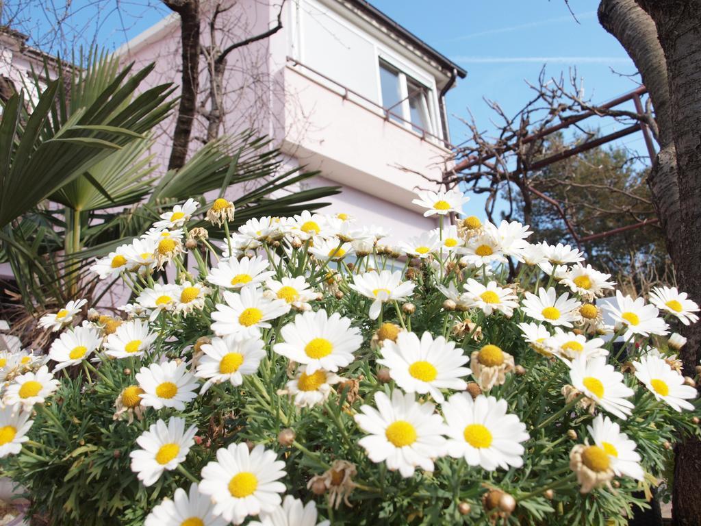 Apartments Zufic Štinjan Exterior foto